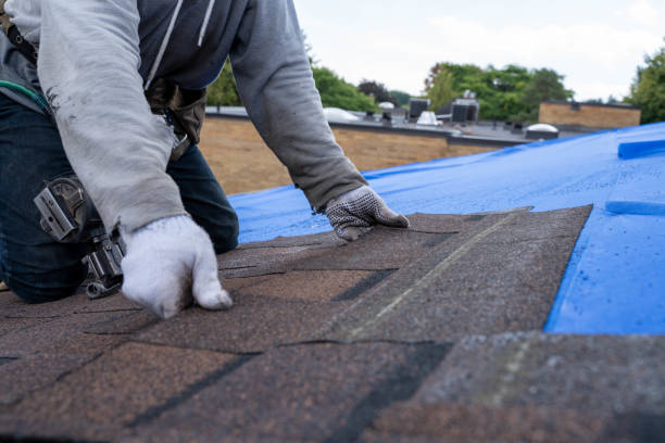 Quick and Trustworthy Emergency Roof Repair Services in Satsuma, AL